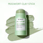 Mugwort Pore Cleansing Stick – Blackhead & Blemish Treatment