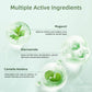 Mugwort Pore Cleansing Stick – Blackhead & Blemish Treatment
