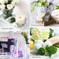 PHATOIL 10ml Fruit Fragrance Oils – 7 Scents for DIY & Aromatherapy