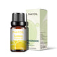 PHATOIL 10ml Fruit Fragrance Oils – 7 Scents for DIY & Aromatherapy