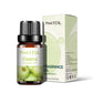 PHATOIL 10ml Fruit Fragrance Oils – 7 Scents for DIY & Aromatherapy