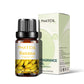 PHATOIL 10ml Fruit Fragrance Oils – 7 Scents for DIY & Aromatherapy