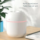 Portable 220ml Mini Cup Spray Humidifier & Diffuser