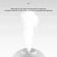 Portable USB Aromatherapy Diffuser & Air Purifier